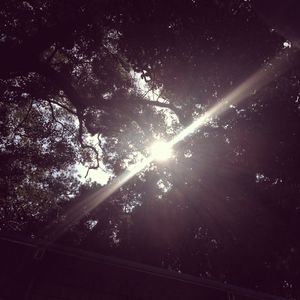 sm超虐调教视频
